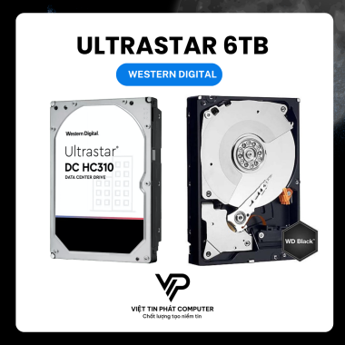 HDD WESTERN ULTRASTART DC HC310 6TB